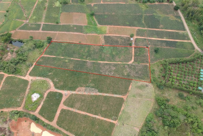 DJI_0280