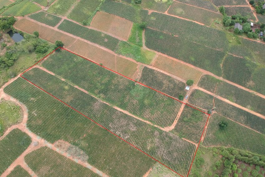 DJI_0283