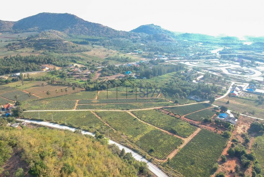 DCIM/102MEDIA/DJI_0767.JPG
