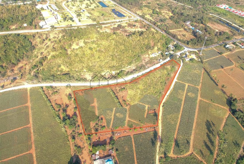 DCIM/102MEDIA/DJI_0775.JPG