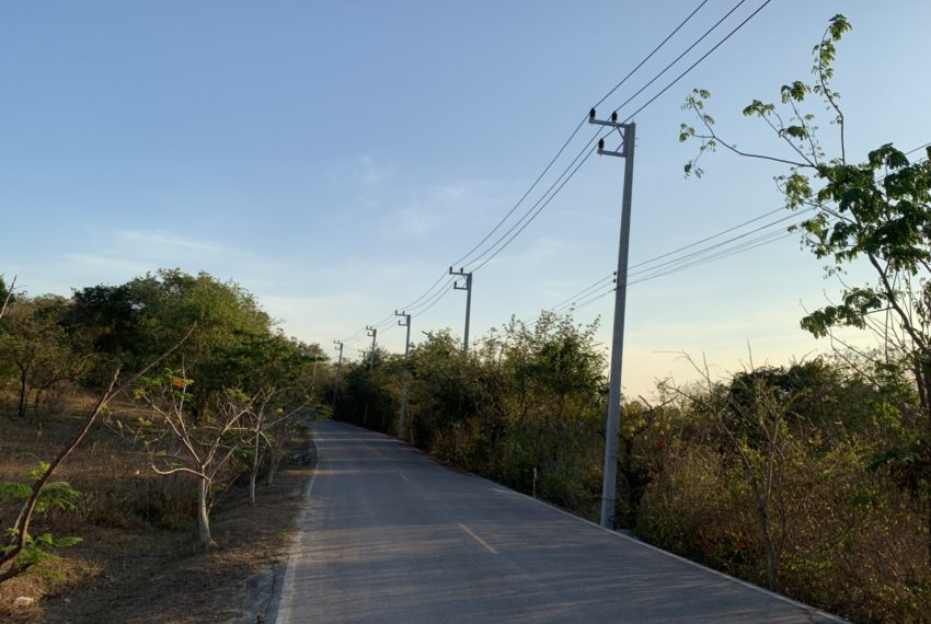 S__3989506