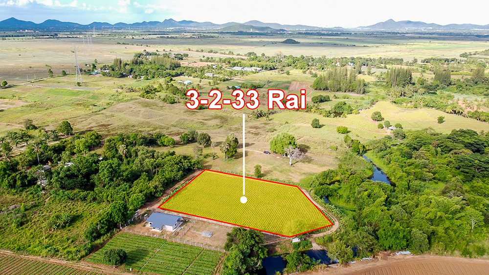 Farm Land for Sale Full Title deed price 1.5 Million Baht per Rai
