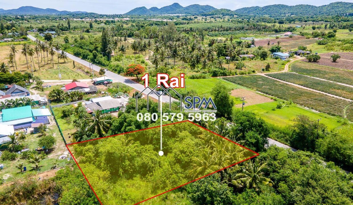 LINE_ALBUM_1 rai_๒๒๐๗๐๑_6
